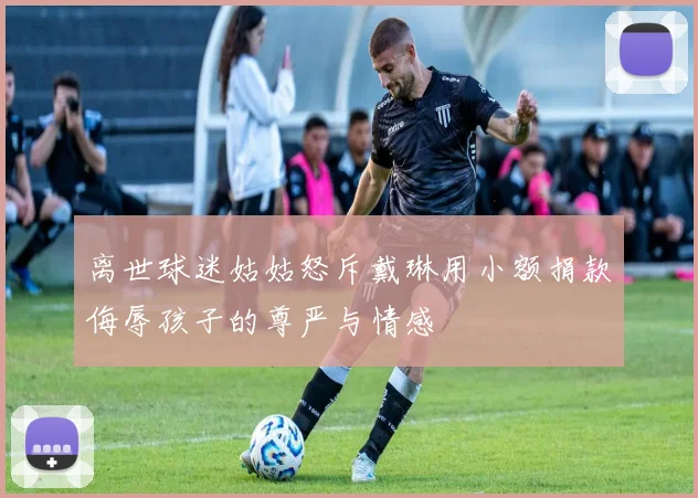 离世球迷姑姑怒斥戴琳用小额捐款侮辱孩子的尊严与情感