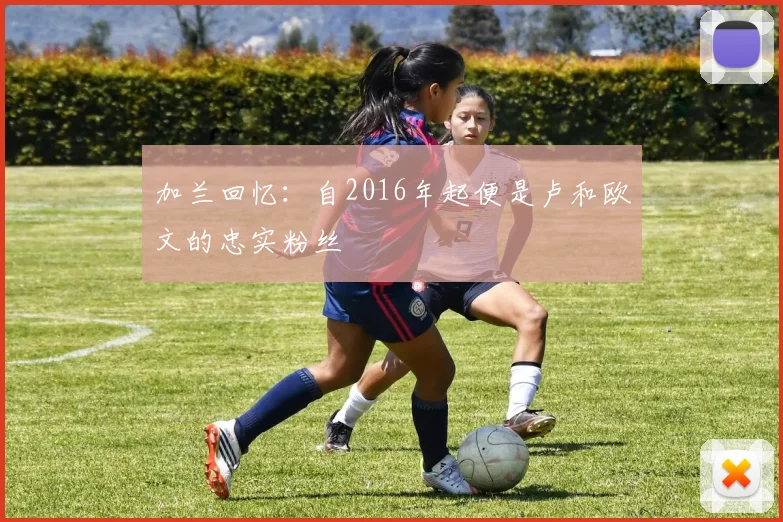 加兰回忆：自2016年起便是卢和欧文的忠实粉丝