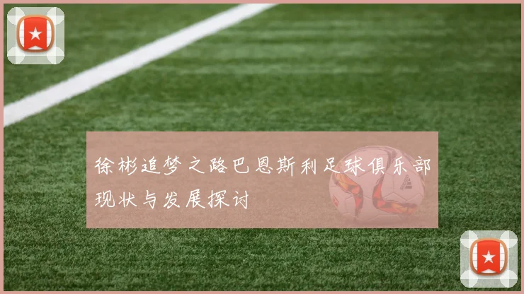 徐彬追梦之路巴恩斯利足球俱乐部现状与发展探讨