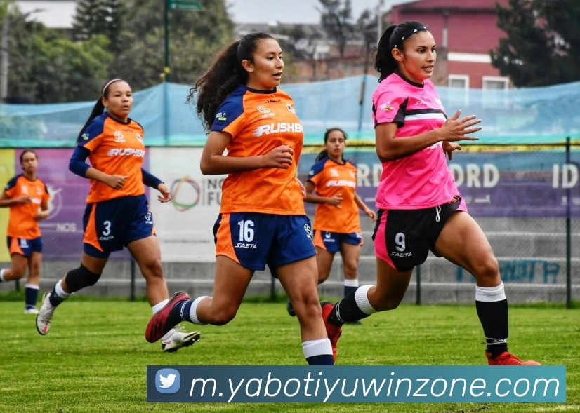 亚博体育平台生态图